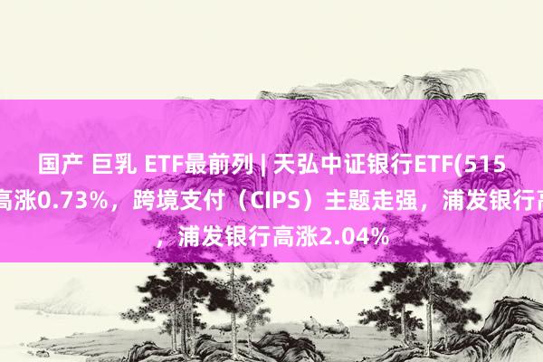 国产 巨乳 ETF最前列 | 天弘中证银行ETF(515290)早盘高涨0.73%，跨境支付（CIPS）主题走强，浦发银行高涨2.04%