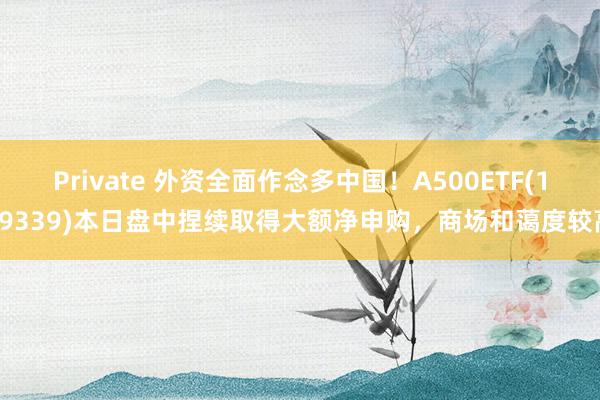 Private 外资全面作念多中国！A500ETF(159339)本日盘中捏续取得大额净申购，商场和蔼度较高