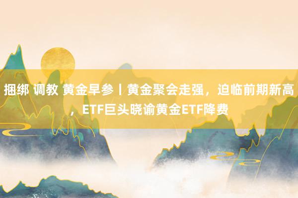 捆绑 调教 黄金早参丨黄金聚会走强，迫临前期新高，ETF巨头晓谕黄金ETF降费