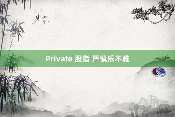 Private 股指 严慎乐不雅