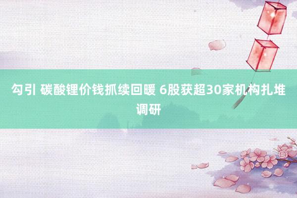 勾引 碳酸锂价钱抓续回暖 6股获超30家机构扎堆调研