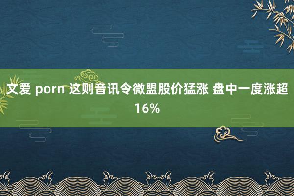 文爱 porn 这则音讯令微盟股价猛涨 盘中一度涨超16%