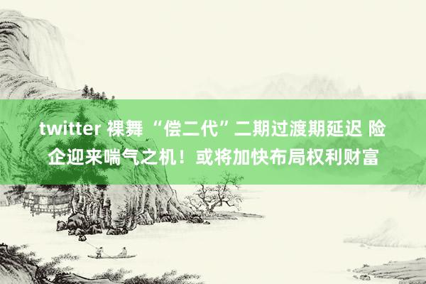twitter 裸舞 “偿二代”二期过渡期延迟 险企迎来喘气之机！或将加快布局权利财富